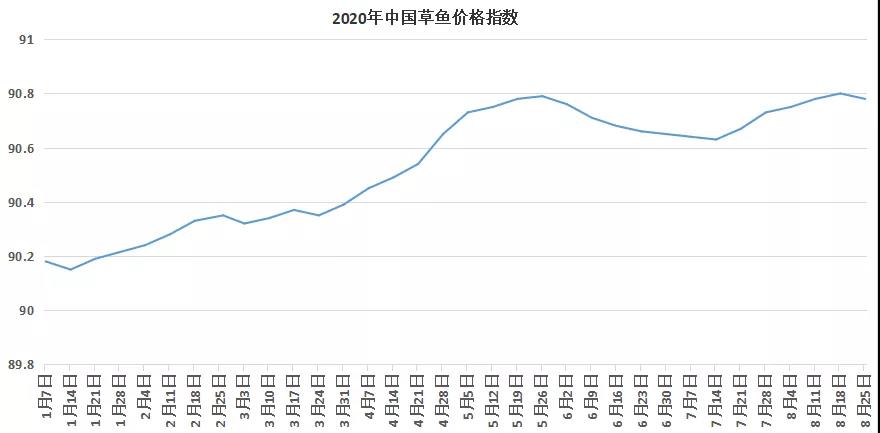 鱼价跌0.2元/斤！华中热水鱼上市加快，养户投苗积极，后市鱼价或看涨