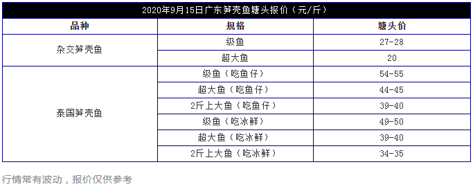 再涨！笋壳鱼最高卖55元/斤，“黄金周”或销量暴增！养太大了却卖不出……