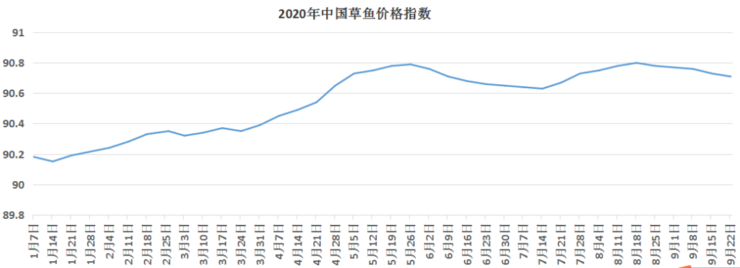 多地鱼价回落0.1-0.2元/斤，国庆草鱼或迎来上市高峰！