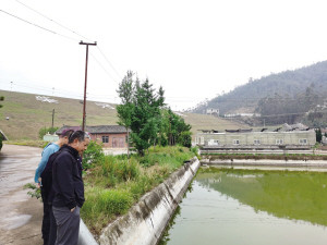 黄茂：一生和鱼打交道 让土著鱼保存下来繁衍下去