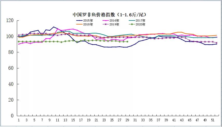 广东2.5元/斤！养这条鱼太难了！低价料冲进云南，一包料便宜20元