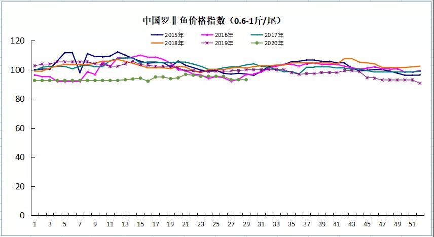 广东2.5元/斤！养这条鱼太难了！低价料冲进云南，一包料便宜20元