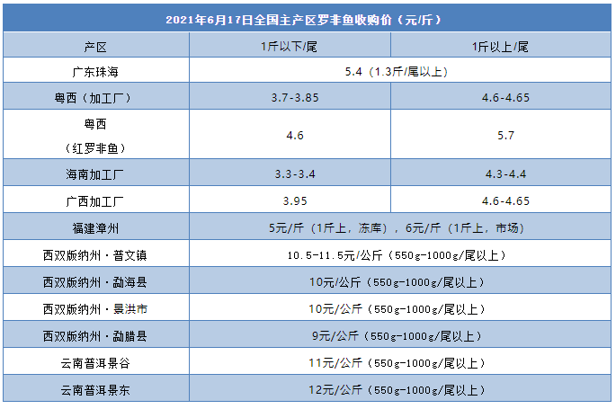 4.65元/斤！罗非鱼迎来近七年最高价！可以维持多久？