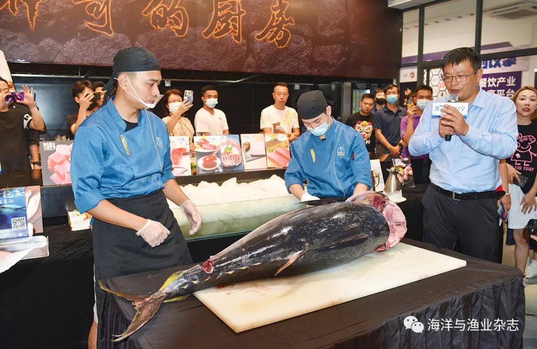 金枪鱼现场展示、切鱼秀、厨师现场烹饪秀……2021年“海洋瑰宝 万家共享”金枪鱼