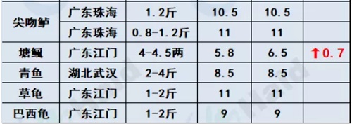 鱼价行情 | 节后详细价格！在你预料之中吗？10月8日全国最新塘头价