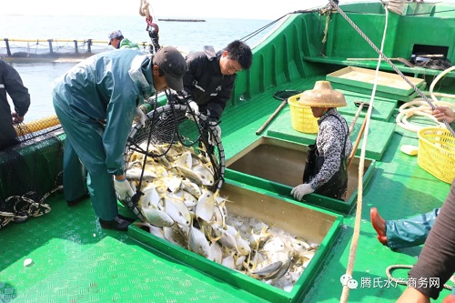 粤海饲料26年稳居行业领先的“定海神针”究竟是什么？