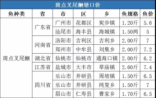 全线上涨！冷空气致养殖户惜售，斑点叉尾t价格最高上涨0.6元/斤！