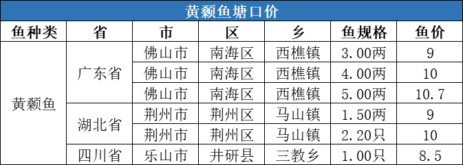 全线上涨！冷空气致养殖户惜售，斑点叉尾t价格最高上涨0.6元/斤！