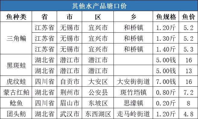 全线上涨！冷空气致养殖户惜售，斑点叉尾t价格最高上涨0.6元/斤！