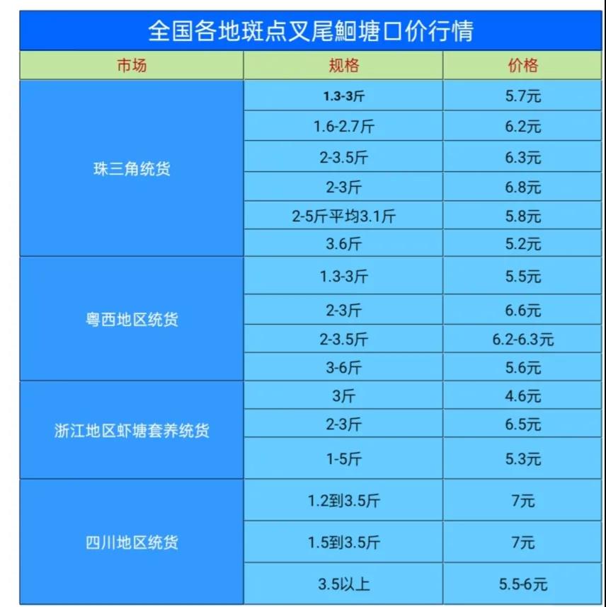 气温下降后，各地斑点叉尾t价格稳步上涨！