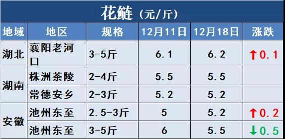 鱼价行情 | 冷空气+冬至，能否成为鱼价再涨一波的助力？