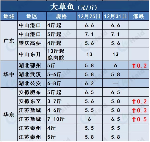 鱼价行情 | 厉害！草鱼还在涨！这波好行情，你觉得会持续多久？