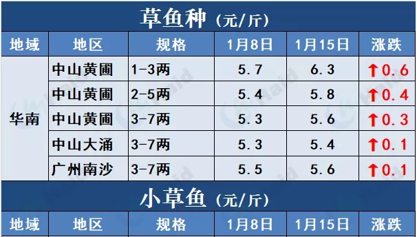 鱼价行情 | 草鱼再涨0.6元/斤！这波涨势凶猛，会一直涨到春节吗？