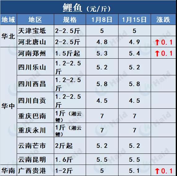 鱼价行情 | 草鱼再涨0.6元/斤！这波涨势凶猛，会一直涨到春节吗？