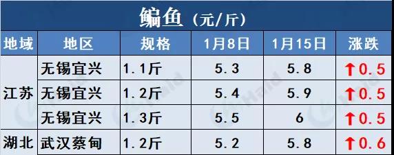 鱼价行情 | 草鱼再涨0.6元/斤！这波涨势凶猛，会一直涨到春节吗？