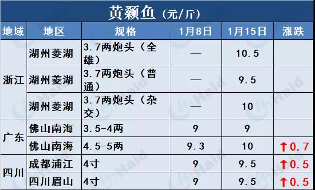 鱼价行情 | 草鱼再涨0.6元/斤！这波涨势凶猛，会一直涨到春节吗？