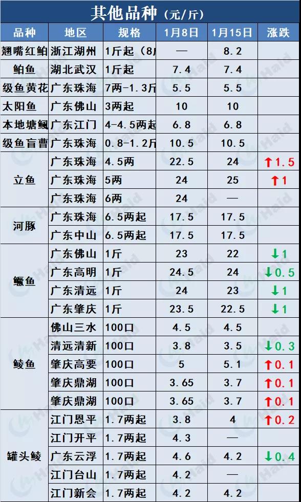 鱼价行情 | 草鱼再涨0.6元/斤！这波涨势凶猛，会一直涨到春节吗？