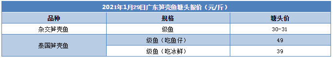 再跌1-3元/斤！这条鱼价格走低，养殖户着急排队卖鱼