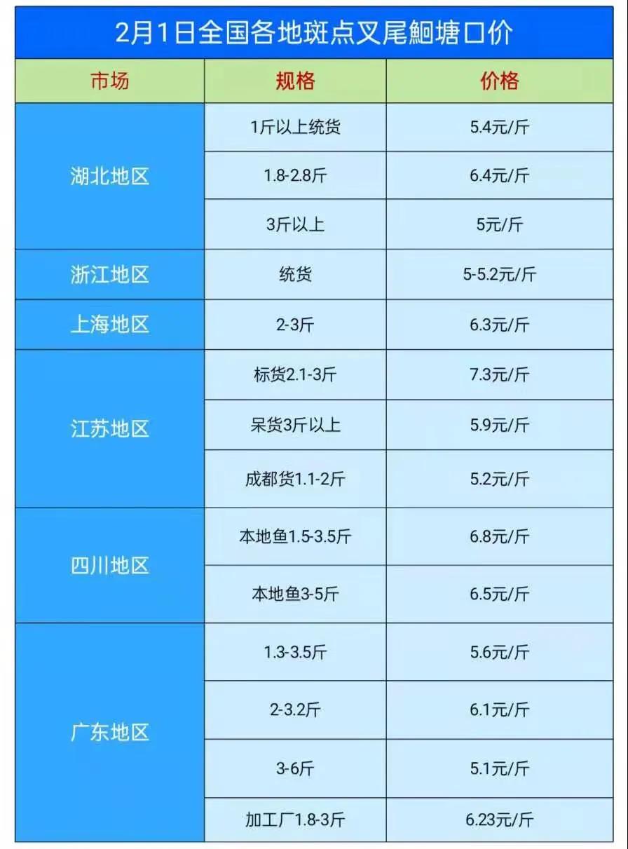 盼星星盼月亮，终于盼到t鱼涨价啦！广东江苏浙江上海塘口价涨了1-3毛