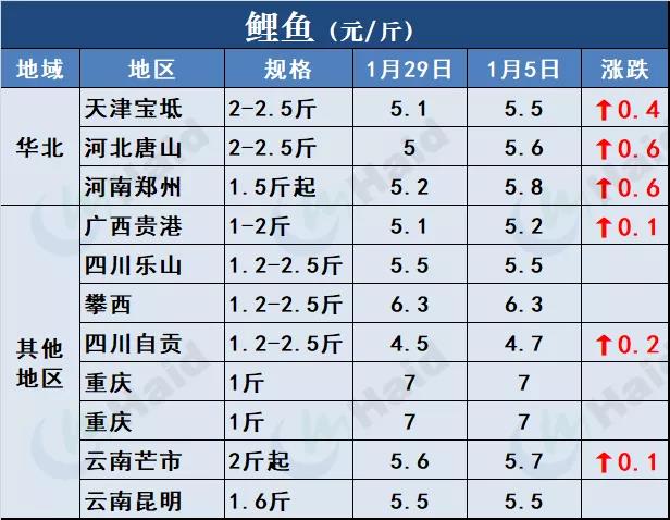 鱼价行情 | 鱼价冲呀！马上就要过年了！2月5日全国19种鱼类塘头价