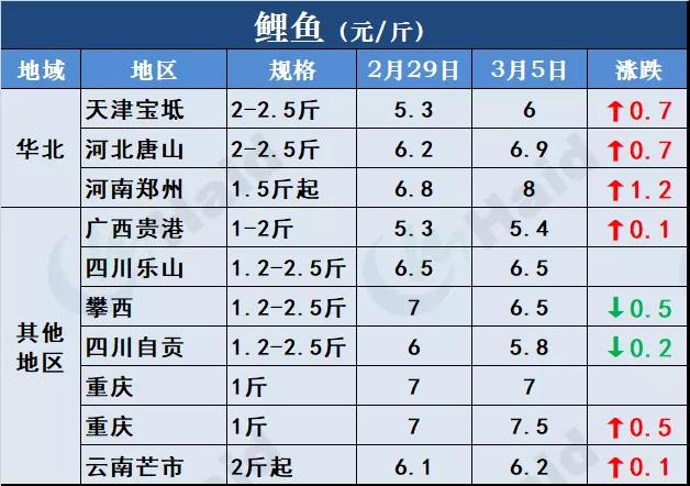 鱼价行情 | 开门红！鱼价全线再上涨，生鱼出现抢鱼潮！