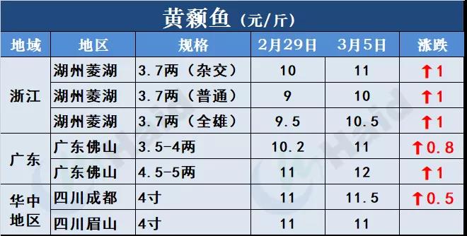 鱼价行情 | 开门红！鱼价全线再上涨，生鱼出现抢鱼潮！