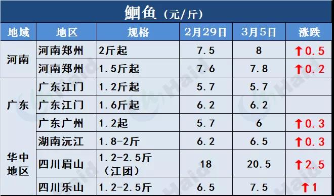 鱼价行情 | 开门红！鱼价全线再上涨，生鱼出现抢鱼潮！