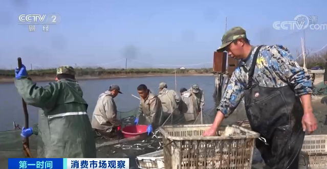 养殖户曾大批转行，四大家鱼产量大降！淡水鱼价格全线上涨！