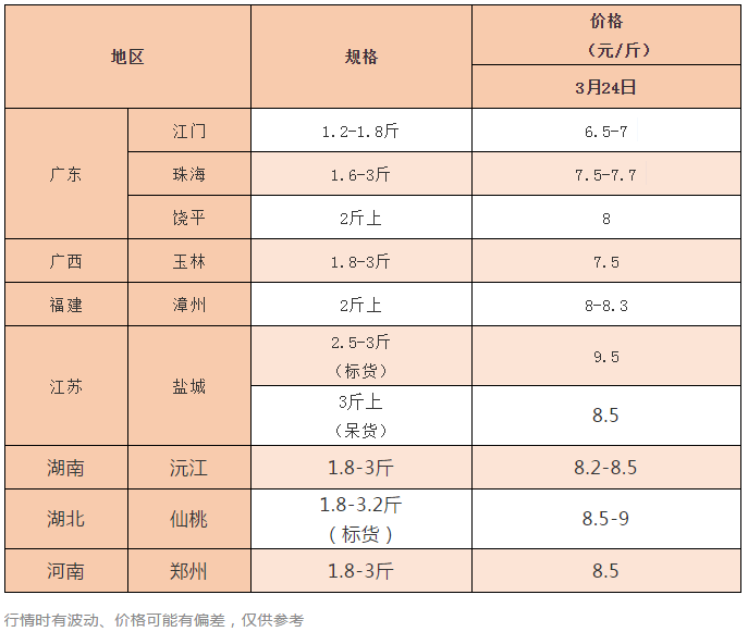 连续攀升突破10元/斤，大鱼稀缺，后市可期！