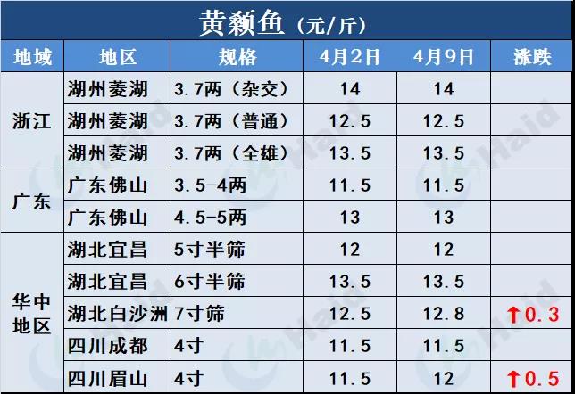 鱼价行情 | 有鱼就有价！外省水车持续涌入，草鱼供不应求！