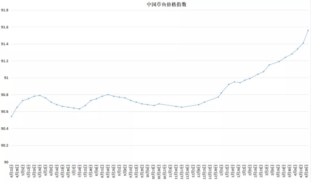 全国闹鱼荒！3斤草鱼塘头卖11.5元/斤！鱼车排长队地毯式“扫塘”抢鱼！