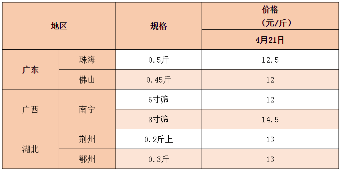 全国大缺鱼！淡水鱼价格一路飙新高，业者表示看好后市