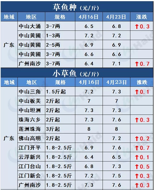 鱼价行情 | 全国严重缺鱼！多个品种价格一波一波的猛涨！