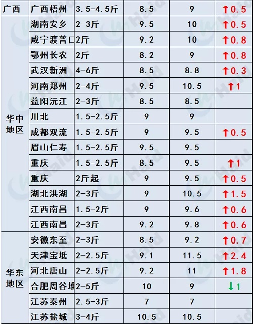 鱼价行情 | 全国严重缺鱼！多个品种价格一波一波的猛涨！