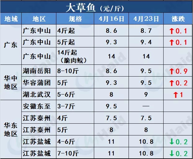 鸭嘴鱼价格 批发价图片