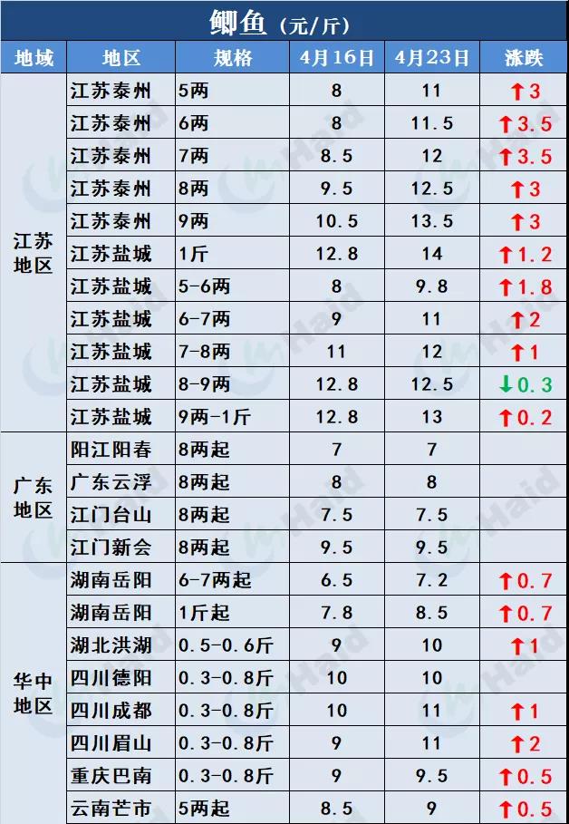 鱼价行情 | 全国严重缺鱼！多个品种价格一波一波的猛涨！