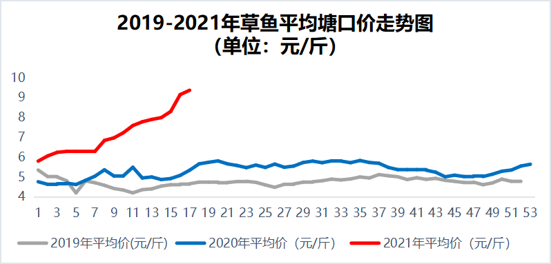 鱼价牛市！鲤鱼价翻倍，全国开启“抢鱼”模式