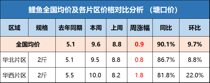 鱼价牛市！鲤鱼价翻倍，全国开启“抢鱼”模式