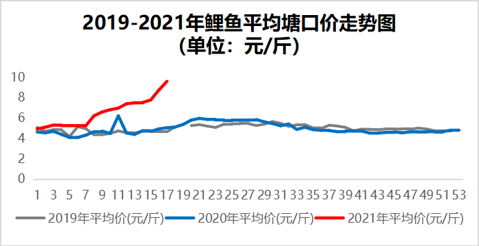 鱼价牛市！鲤鱼价翻倍，全国开启“抢鱼”模式