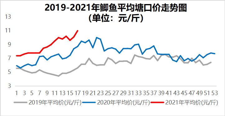 鱼价牛市！鲤鱼价翻倍，全国开启“抢鱼”模式