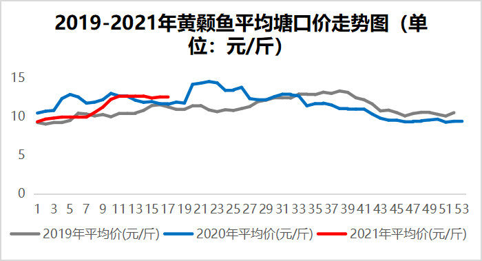 鱼价牛市！鲤鱼价翻倍，全国开启“抢鱼”模式