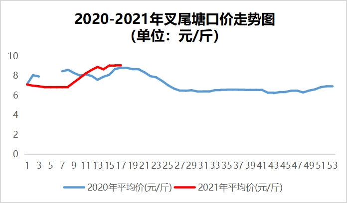 鱼价牛市！鲤鱼价翻倍，全国开启“抢鱼”模式