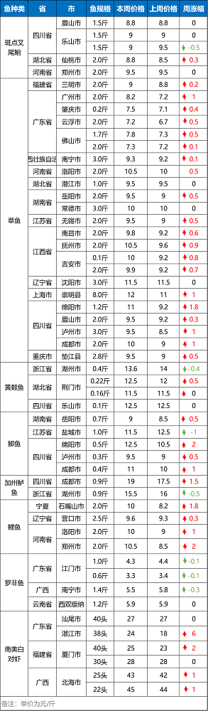 鱼价牛市！鲤鱼价翻倍，全国开启“抢鱼”模式