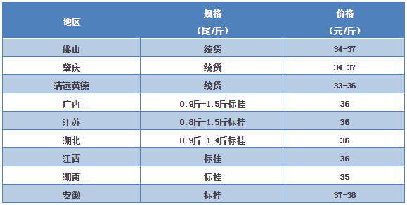 桂花鱼订鱼价格持续上涨 养殖户出鱼积极性增加