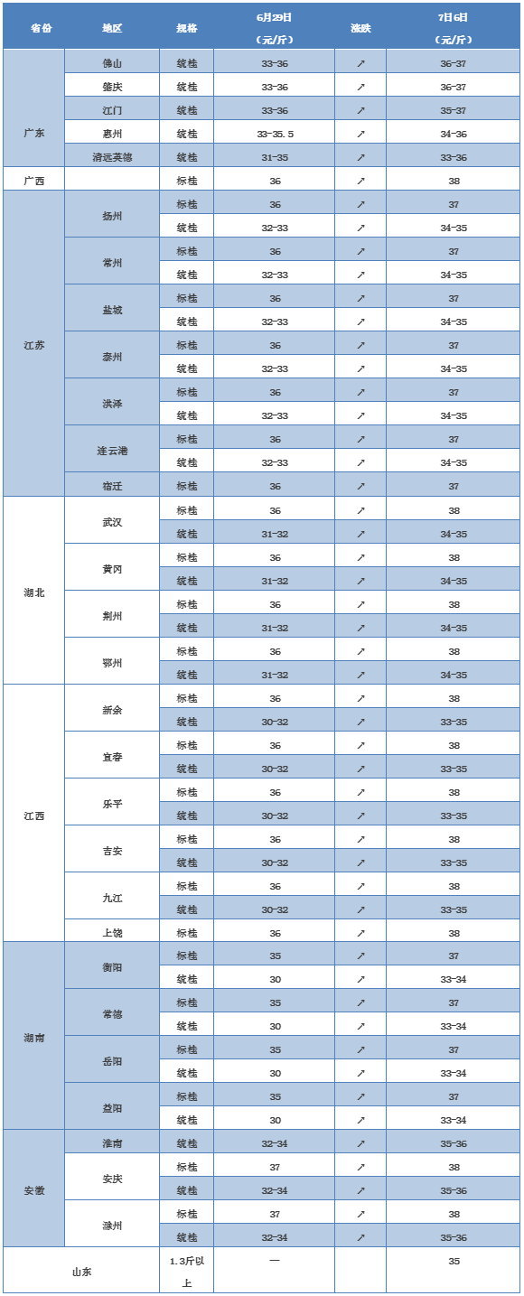 全国鳜鱼大涨价，本周迎来卖鱼最佳时机，7月6日桂花鱼主要养殖区域最新报价