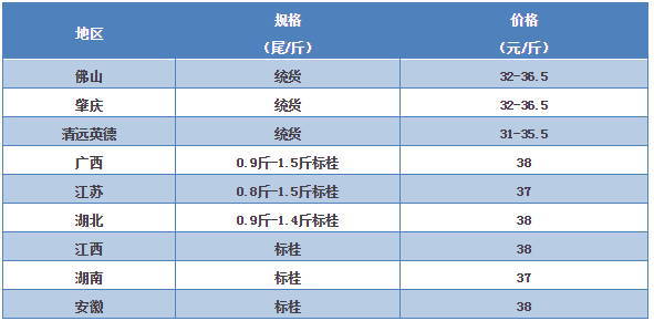 本周桂花鱼订鱼价格持稳 外省存塘减少市场需求升温