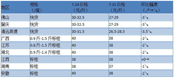 本周桂花鱼订鱼价格持续下跌 广西江苏湖北安徽等地鳜鱼价格受影响