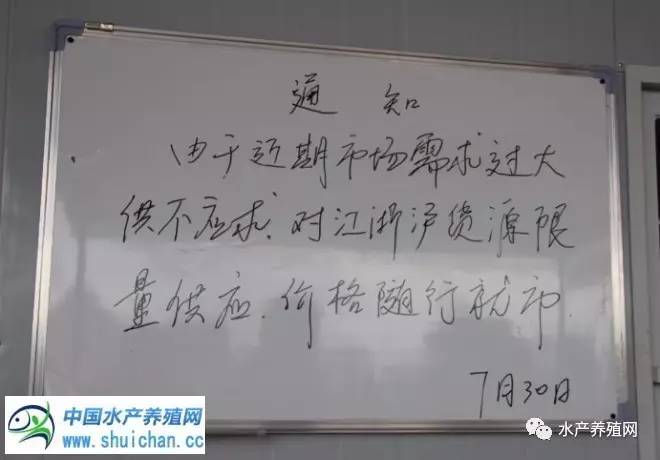 小龙虾价格创历史新高 小龙虾第二大产区稻渔综合种养呈现井喷式发展