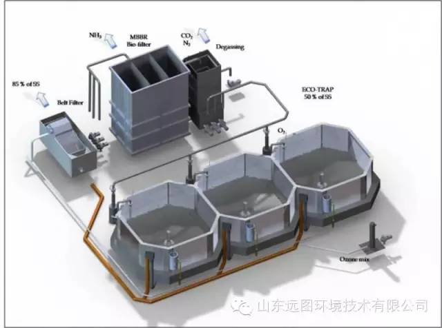 目前关于循环水养殖系统最详细的介绍，领悟了就是半个专家，敬请收藏！