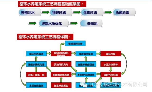 目前关于循环水养殖系统最详细的介绍，领悟了就是半个专家，敬请收藏！